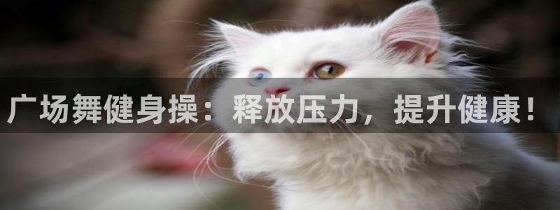 龙8国际最新官网