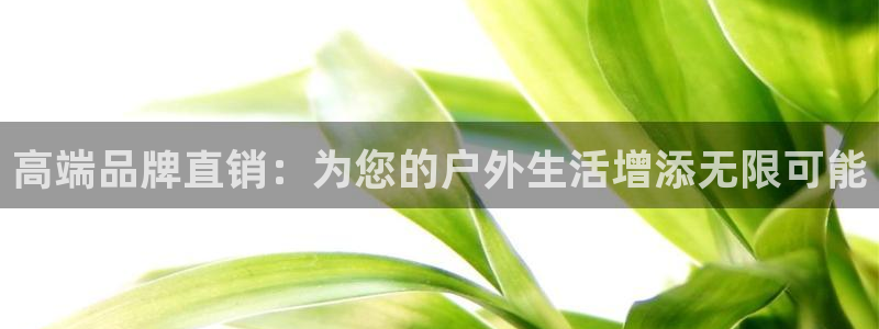 龙8游戏官网