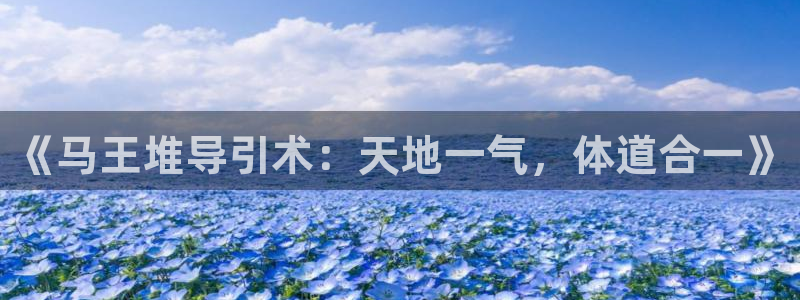 国际龙8官网pt客户端下载