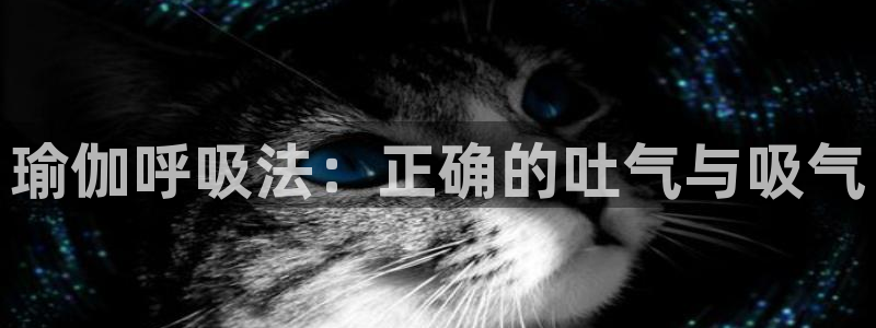 龙8国际老虎机娱乐