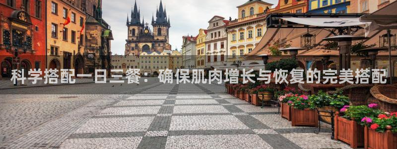 龙8国际官网app下载