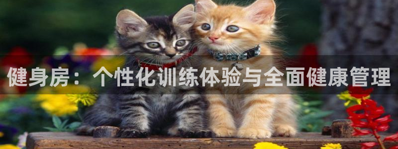 龙八国际官方网站app登录