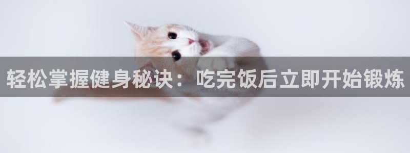 龙八国际服官网站