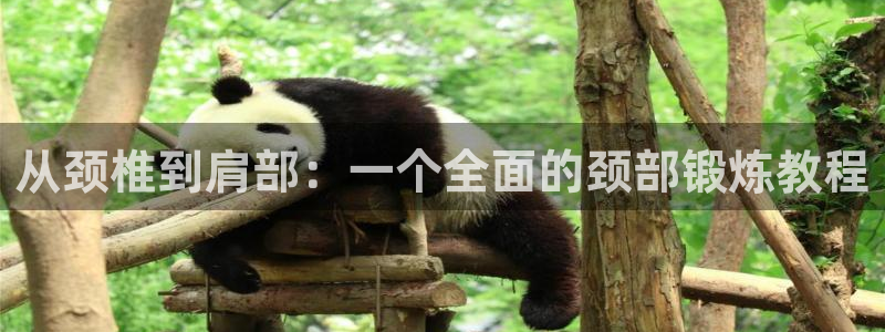 龙8游戏官方进入