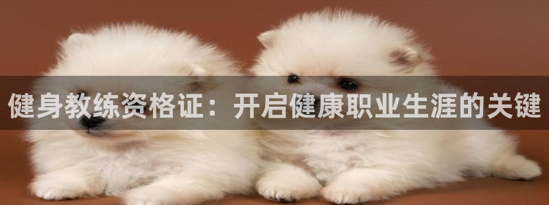 龙八国际娱乐平台网站